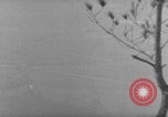 Image of 7th Infantry Division Okinawa Ryukyu Islands, 1945, second 45 stock footage video 65675052679