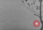 Image of 7th Infantry Division Okinawa Ryukyu Islands, 1945, second 46 stock footage video 65675052679