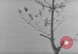 Image of 7th Infantry Division Okinawa Ryukyu Islands, 1945, second 48 stock footage video 65675052679