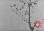 Image of 7th Infantry Division Okinawa Ryukyu Islands, 1945, second 49 stock footage video 65675052679