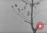 Image of 7th Infantry Division Okinawa Ryukyu Islands, 1945, second 50 stock footage video 65675052679