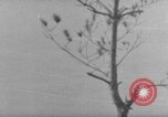 Image of 7th Infantry Division Okinawa Ryukyu Islands, 1945, second 51 stock footage video 65675052679