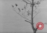 Image of 7th Infantry Division Okinawa Ryukyu Islands, 1945, second 52 stock footage video 65675052679