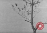 Image of 7th Infantry Division Okinawa Ryukyu Islands, 1945, second 53 stock footage video 65675052679
