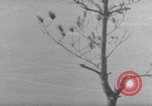 Image of 7th Infantry Division Okinawa Ryukyu Islands, 1945, second 54 stock footage video 65675052679