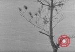 Image of 7th Infantry Division Okinawa Ryukyu Islands, 1945, second 55 stock footage video 65675052679