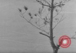 Image of 7th Infantry Division Okinawa Ryukyu Islands, 1945, second 56 stock footage video 65675052679