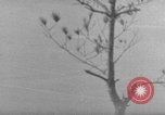 Image of 7th Infantry Division Okinawa Ryukyu Islands, 1945, second 57 stock footage video 65675052679