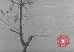 Image of 7th Infantry Division Okinawa Ryukyu Islands, 1945, second 59 stock footage video 65675052679