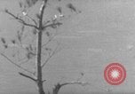 Image of 7th Infantry Division Okinawa Ryukyu Islands, 1945, second 61 stock footage video 65675052679