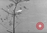 Image of 7th Infantry Division Okinawa Ryukyu Islands, 1945, second 62 stock footage video 65675052679