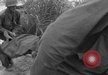 Image of 7th Infantry Division soldiers Okinawa Ryukyu Islands, 1945, second 36 stock footage video 65675052681