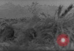 Image of 7th Infantry Division soldiers Okinawa Ryukyu Islands, 1945, second 19 stock footage video 65675052682