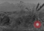 Image of 7th Infantry Division soldiers Okinawa Ryukyu Islands, 1945, second 20 stock footage video 65675052682