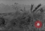 Image of 7th Infantry Division soldiers Okinawa Ryukyu Islands, 1945, second 23 stock footage video 65675052682