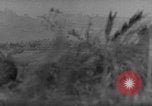 Image of 7th Infantry Division soldiers Okinawa Ryukyu Islands, 1945, second 24 stock footage video 65675052682