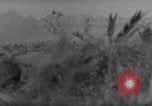 Image of 7th Infantry Division soldiers Okinawa Ryukyu Islands, 1945, second 25 stock footage video 65675052682