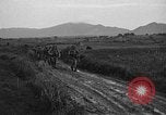 Standbild 7th Infantry Division Soldaten Kin Okinawa Ryukyu Inseln, 1945, aus Sekunde 10 historischem Filmmaterial Videoclip 65675052683