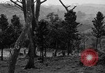Standbild 7th Infantry Division Soldaten Kin Okinawa Ryukyu Inseln, 1945, aus Sekunde 31 historischem Filmmaterial Videoclip 65675052684