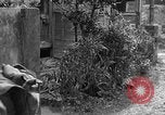 Immagine di 7 Divisione Fanti Kin Okinawa isole Ryukyu, 1945, secondo 54 filmato di repertorio 65675052686