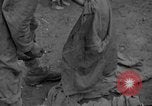 Immagine di 7 Divisione Fanti Kin Okinawa isole Ryukyu, 1945, secondo 14 filmato di repertorio 65675052687