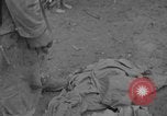 Immagine di 7 Divisione Fanti Kin Okinawa isole Ryukyu, 1945, secondo 16 filmato di repertorio 65675052687