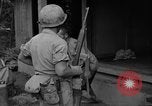 Immagine di 7 Divisione Fanti Kin Okinawa isole Ryukyu, 1945, secondo 23 filmato di repertorio 65675052687