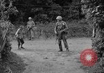 Immagine di 7 Divisione Fanti Kin Okinawa isole Ryukyu, 1945, secondo 33 filmato di repertorio 65675052687