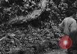 Immagine di 7 Divisione Fanti Kin Okinawa isole Ryukyu, 1945, secondo 55 filmato di repertorio 65675052687