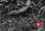 Immagine di 7 Divisione Fanti Kin Okinawa isole Ryukyu, 1945, secondo 57 filmato di repertorio 65675052687