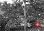 Immagine di 7 Divisione Fanti Kin Okinawa isole Ryukyu, 1945, secondo 9 filmato di repertorio 65675052688