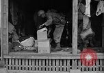 Immagine di 7 Divisione Fanti Kin Okinawa isole Ryukyu, 1945, secondo 30 filmato di repertorio 65675052688