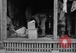 Immagine di 7 Divisione Fanti Kin Okinawa isole Ryukyu, 1945, secondo 31 filmato di repertorio 65675052688