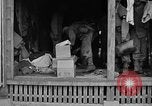 Immagine di 7 Divisione Fanti Kin Okinawa isole Ryukyu, 1945, secondo 32 filmato di repertorio 65675052688