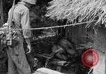 Immagine di 7 Divisione Fanti Kin Okinawa isole Ryukyu, 1945, secondo 52 filmato di repertorio 65675052688