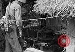 Immagine di 7 Divisione Fanti Kin Okinawa isole Ryukyu, 1945, secondo 53 filmato di repertorio 65675052688