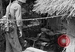 Immagine di 7 Divisione Fanti Kin Okinawa isole Ryukyu, 1945, secondo 54 filmato di repertorio 65675052688