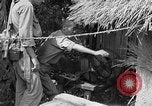 Immagine di 7 Divisione Fanti Kin Okinawa isole Ryukyu, 1945, secondo 59 filmato di repertorio 65675052688