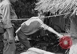Immagine di 7 Divisione Fanti Kin Okinawa isole Ryukyu, 1945, secondo 60 filmato di repertorio 65675052688