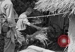 Immagine di 7 Divisione Fanti Kin Okinawa isole Ryukyu, 1945, secondo 61 filmato di repertorio 65675052688