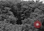 Standbild 7 Division Infanteristen Kin Okinawa Ryukyu Inseln, 1945, aus Sekunde 11 historischem Filmmaterial Videoclip 65675052690