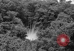 Standbild 7 Division Infanteristen Kin Okinawa Ryukyu Inseln, 1945, aus Sekunde 15 historischem Filmmaterial Videoclip 65675052690