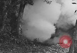 Standbild 7 Division Infanteristen Kin Okinawa Ryukyu Inseln, 1945, aus Sekunde 38 historischem Filmmaterial Videoclip 65675052690