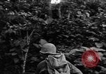 Standbild 7 Division Infanteristen Kin Okinawa Ryukyu Inseln, 1945, aus Sekunde 45 historischem Filmmaterial Videoclip 65675052690