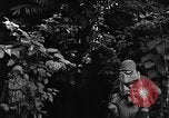 Standbild 7 Division Infanteristen Kin Okinawa Ryukyu Inseln, 1945, aus Sekunde 48 historischem Filmmaterial Videoclip 65675052690