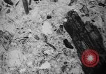 Image of Japanese survey team Hiroshima Japan, 1945, second 48 stock footage video 65675052704