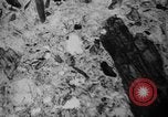Image of Japanese survey team Hiroshima Japan, 1945, second 49 stock footage video 65675052704