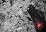 Image of Japanese survey team Hiroshima Japan, 1945, second 51 stock footage video 65675052704