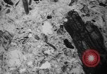 Image of Japanese survey team Hiroshima Japan, 1945, second 52 stock footage video 65675052704