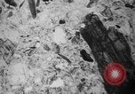 Image of Japanese survey team Hiroshima Japan, 1945, second 53 stock footage video 65675052704